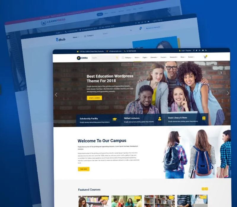 Professional Website Design Examples - Multiple responsive website layouts showcasing modern design and functionality